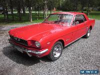 1966 Ford Mustang Pony for Sale