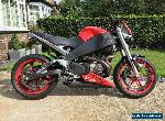 Buell XB 12Ss 2008 for Sale
