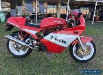 Ducati 900ss 1989  for Sale