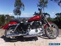 Harley Sportster Custom 883 (XL883C) 2007 Fuel Injected. Good condition.  for Sale